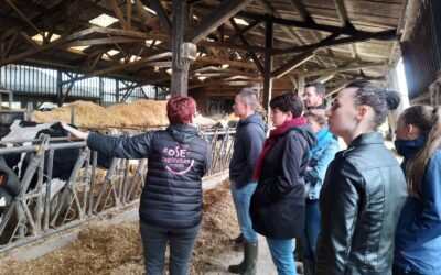 Sortie à la ferme la Thébaudière à Loiron