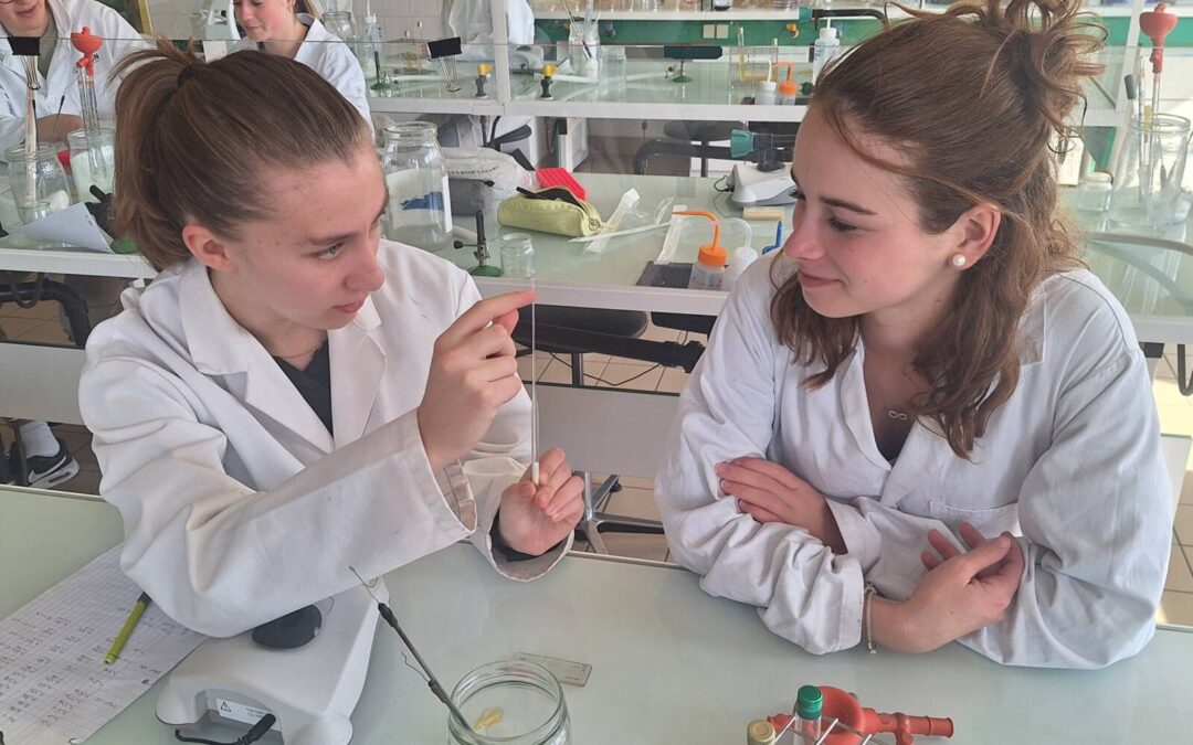 Journée d’immersion en BTS ANABIOTEC : 6 élèves de terminale dans nos laboratoires en TP tutorés