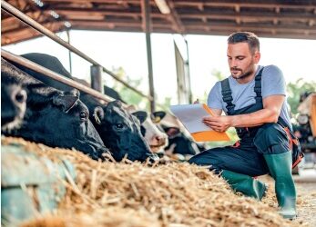 NOUVEAUTÉ : LE BP REA EN APPRENTISSAGE EST DÉSORMAIS POSSIBLE EN 1 AN !