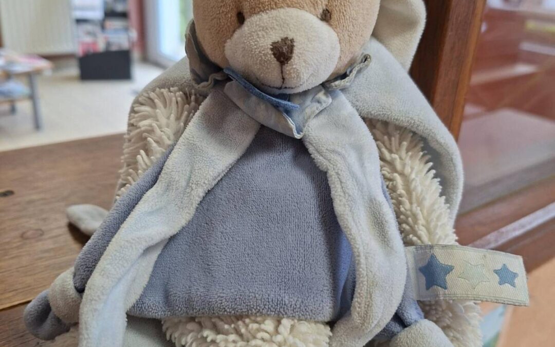 Doudou cherche son propriétaire !